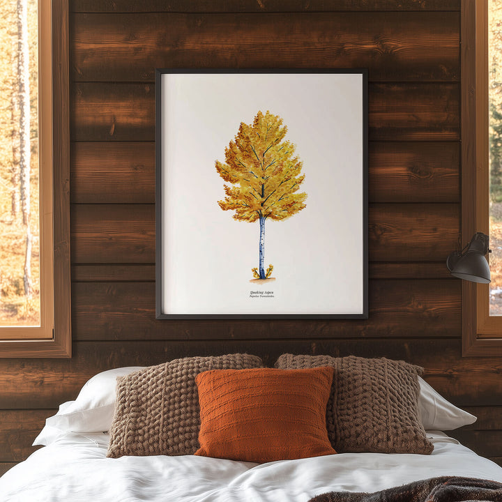 Quaking Aspen Tree