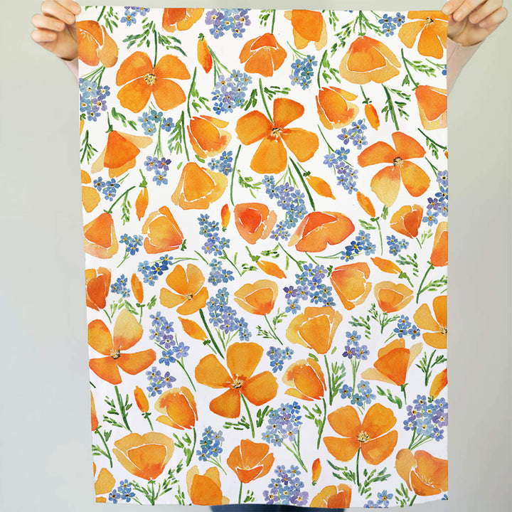 California Poppy Wildflowers