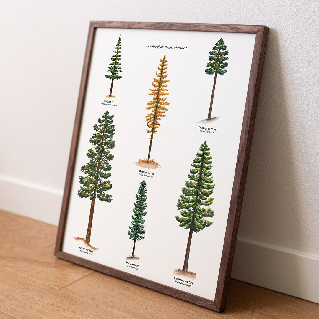 Botanical Art Prints