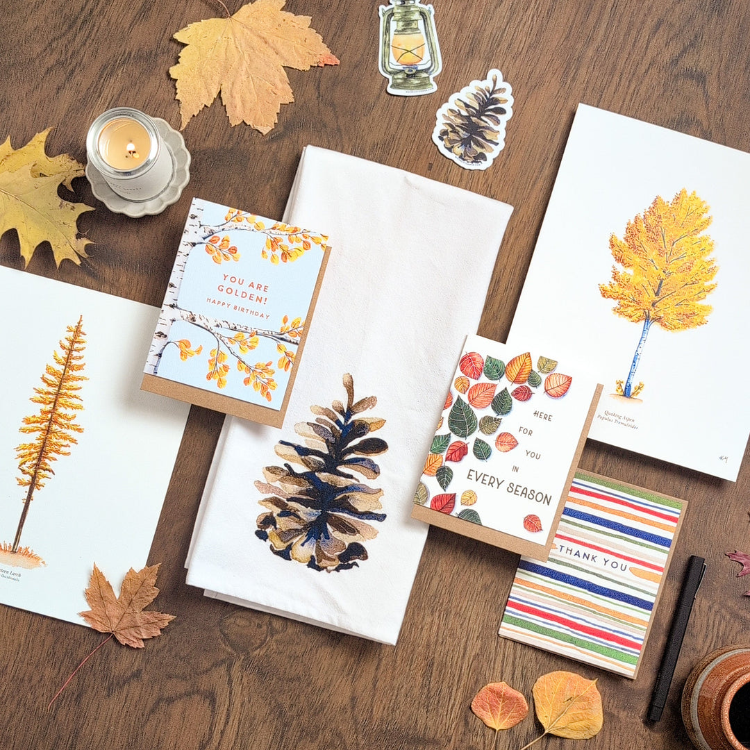 Fall Collection