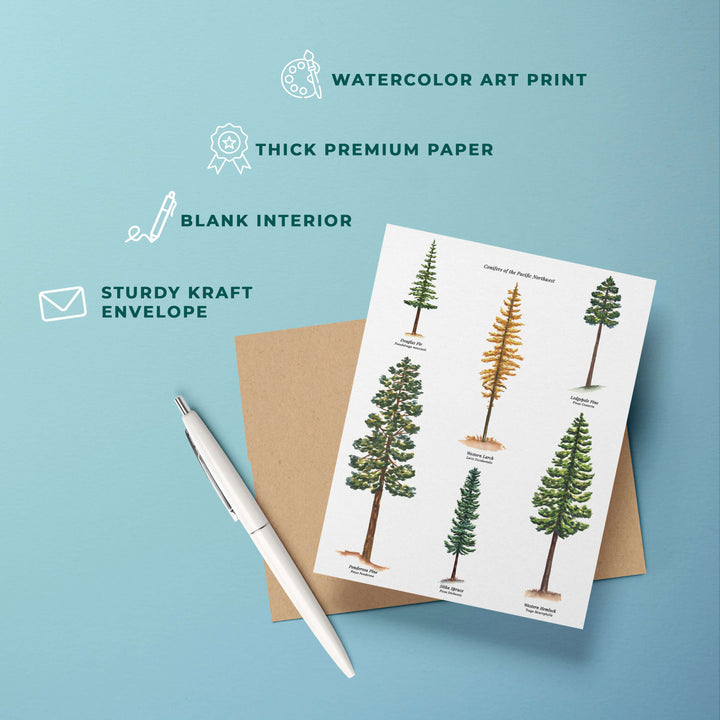 Conifers of the Pacific Northwest | Everyday Greeting Card Set of 6
