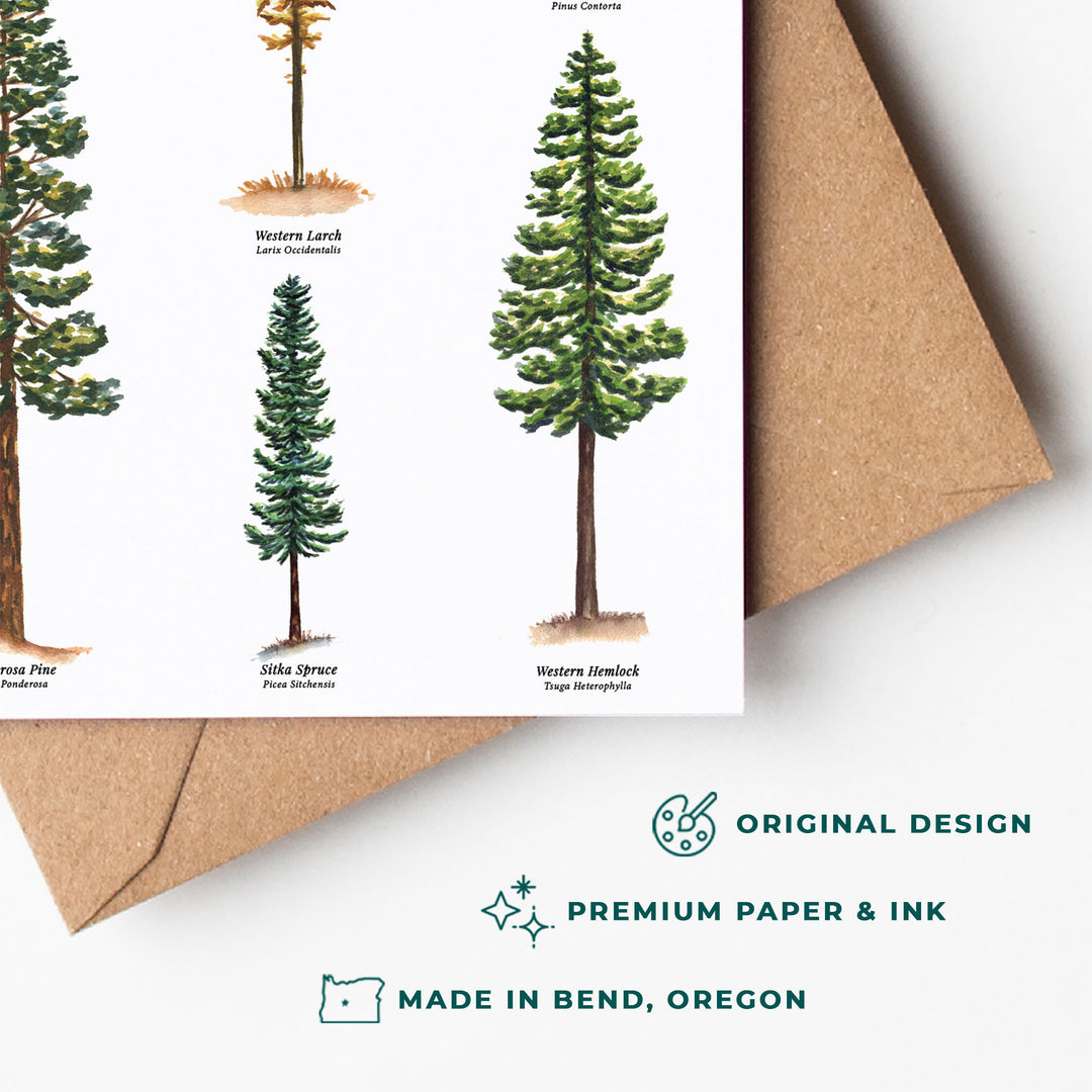 Conifers of the Pacific Northwest | Everyday Greeting Card Set of 6