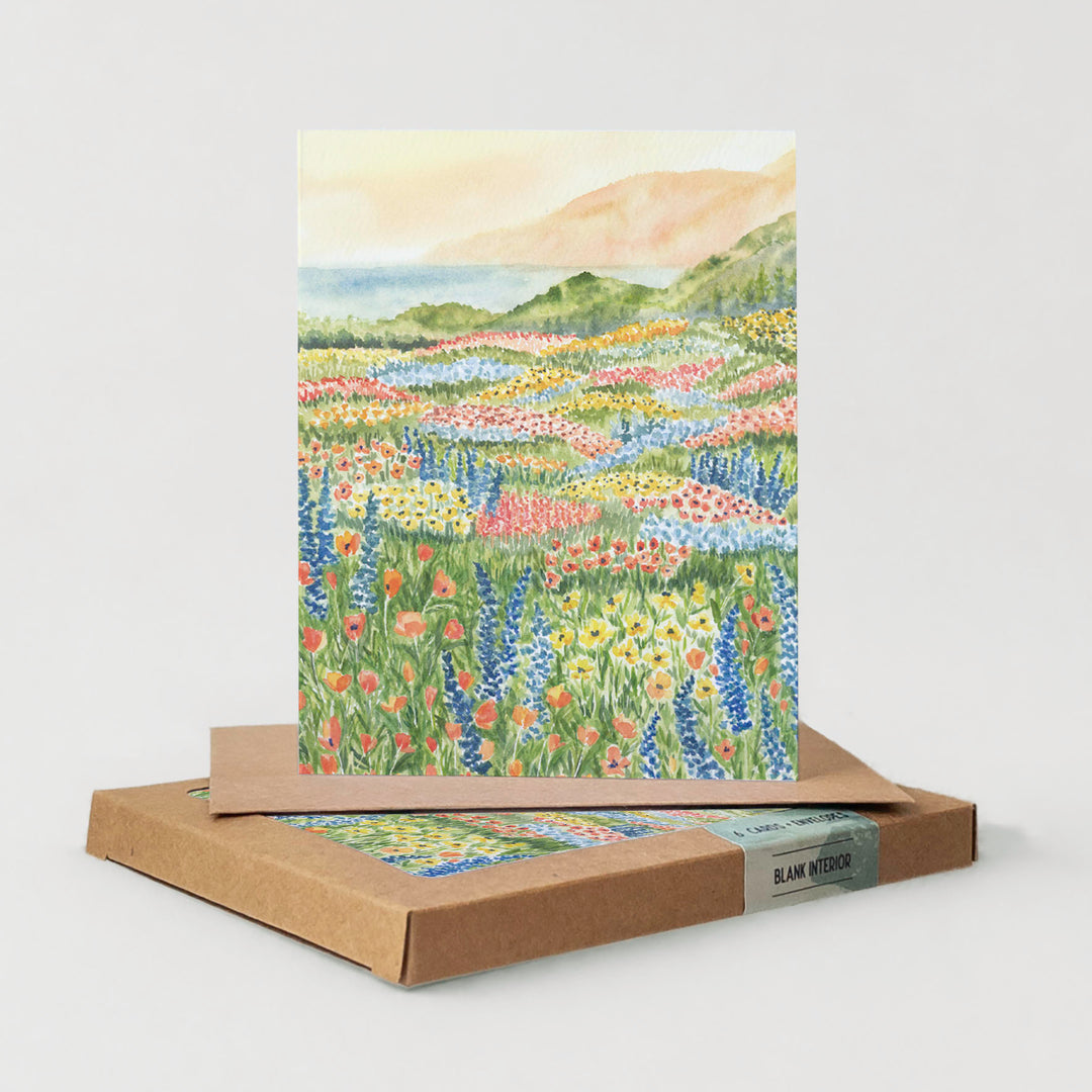 Coastal Blooms | Everyday Boxed Set