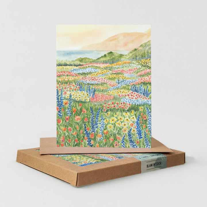 Coastal Blooms | Everyday Boxed Set