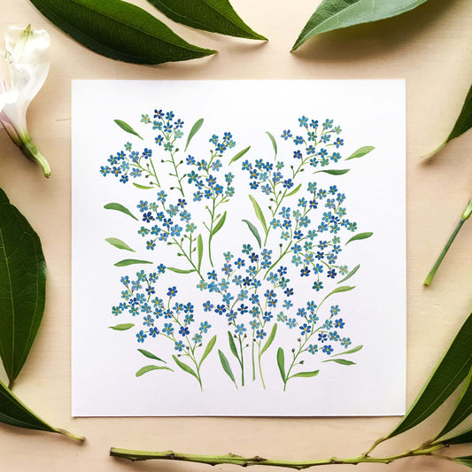 Forget-Me-Not Wildflowers