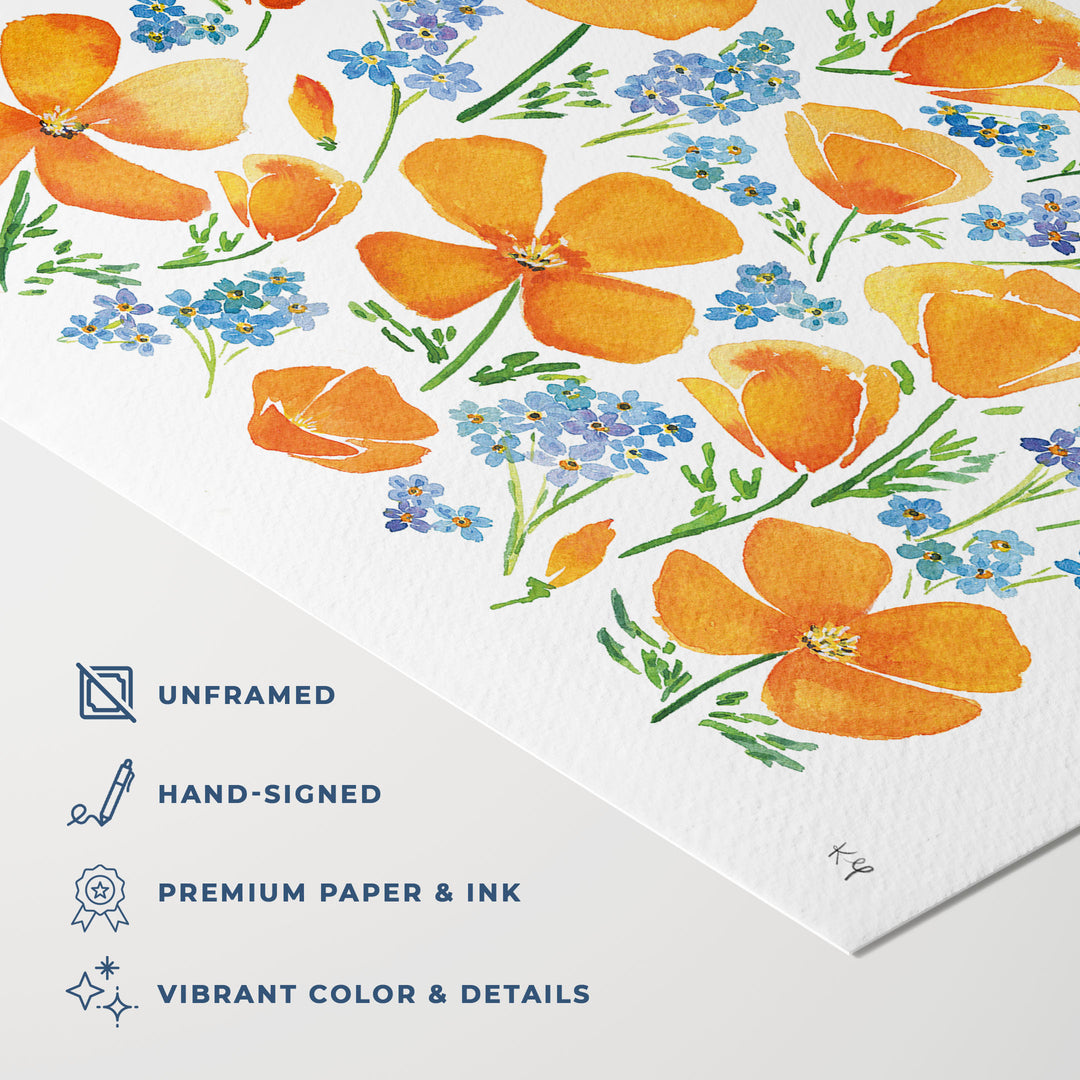 California Poppy Wildflowers