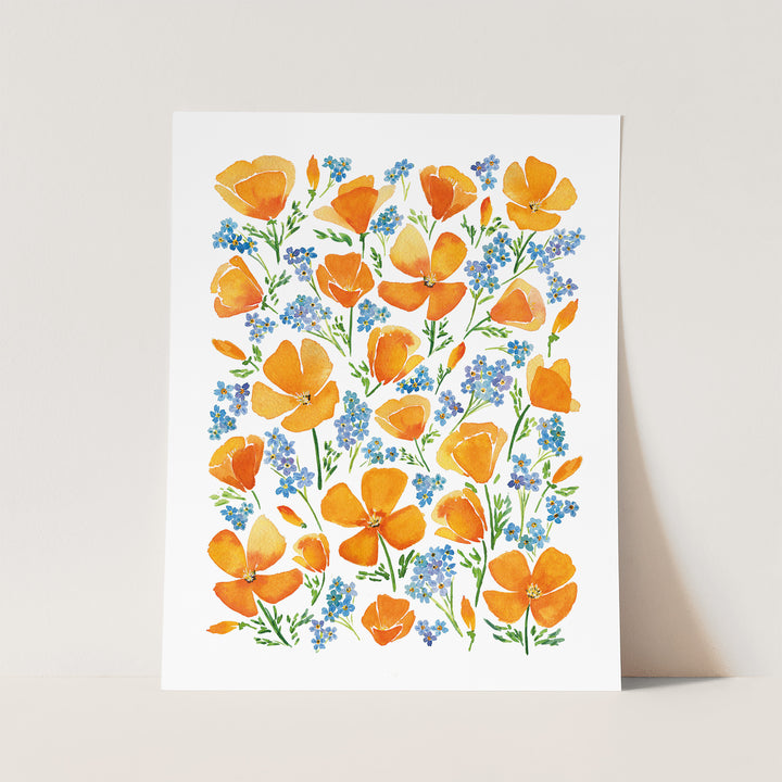 California Poppy Wildflowers
