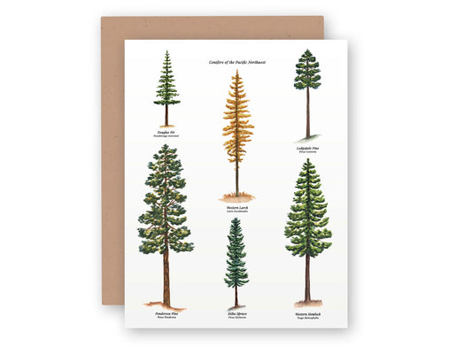 a card with different types of trees