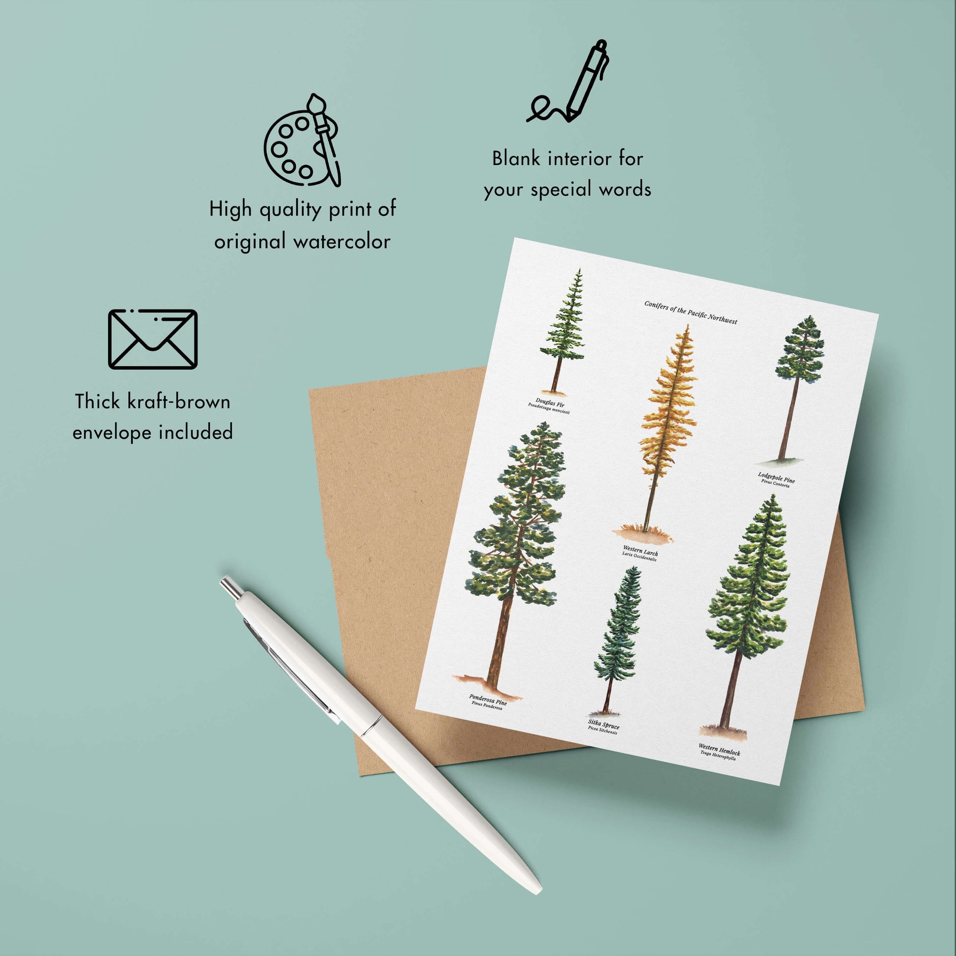 a greeting card with pine trees on it