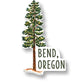 Bend, Oregon Ponderosa Pine Sticker