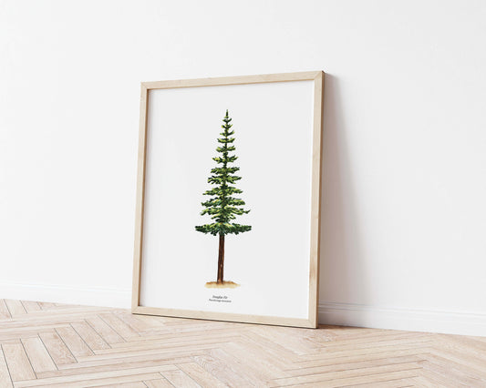 a framed painting of a douglas fir tree on a wall