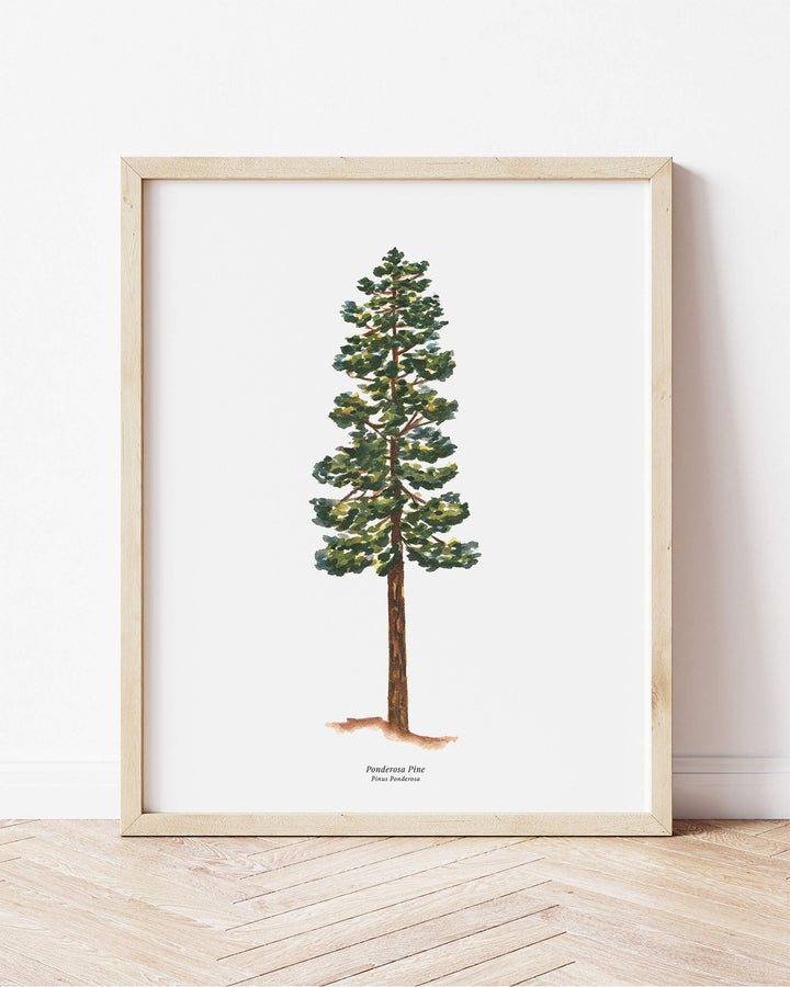 a picture of a pine tree on a wall