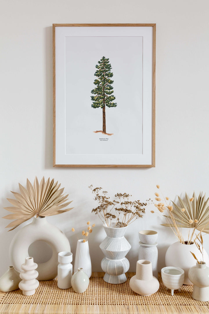 a picture of a ponderosa pine tree on a wall