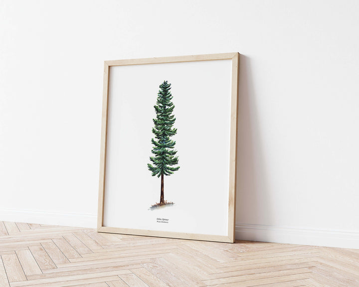 framed watercolor painting of an evergreen tree