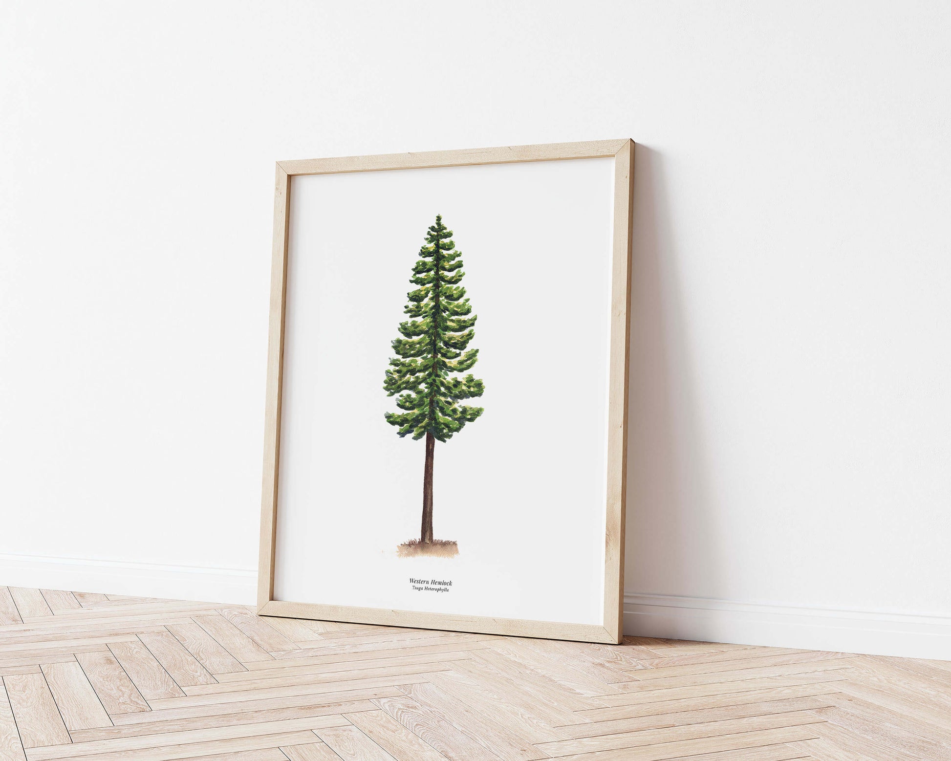 a framed watercolor painting of a pine tree on a wall