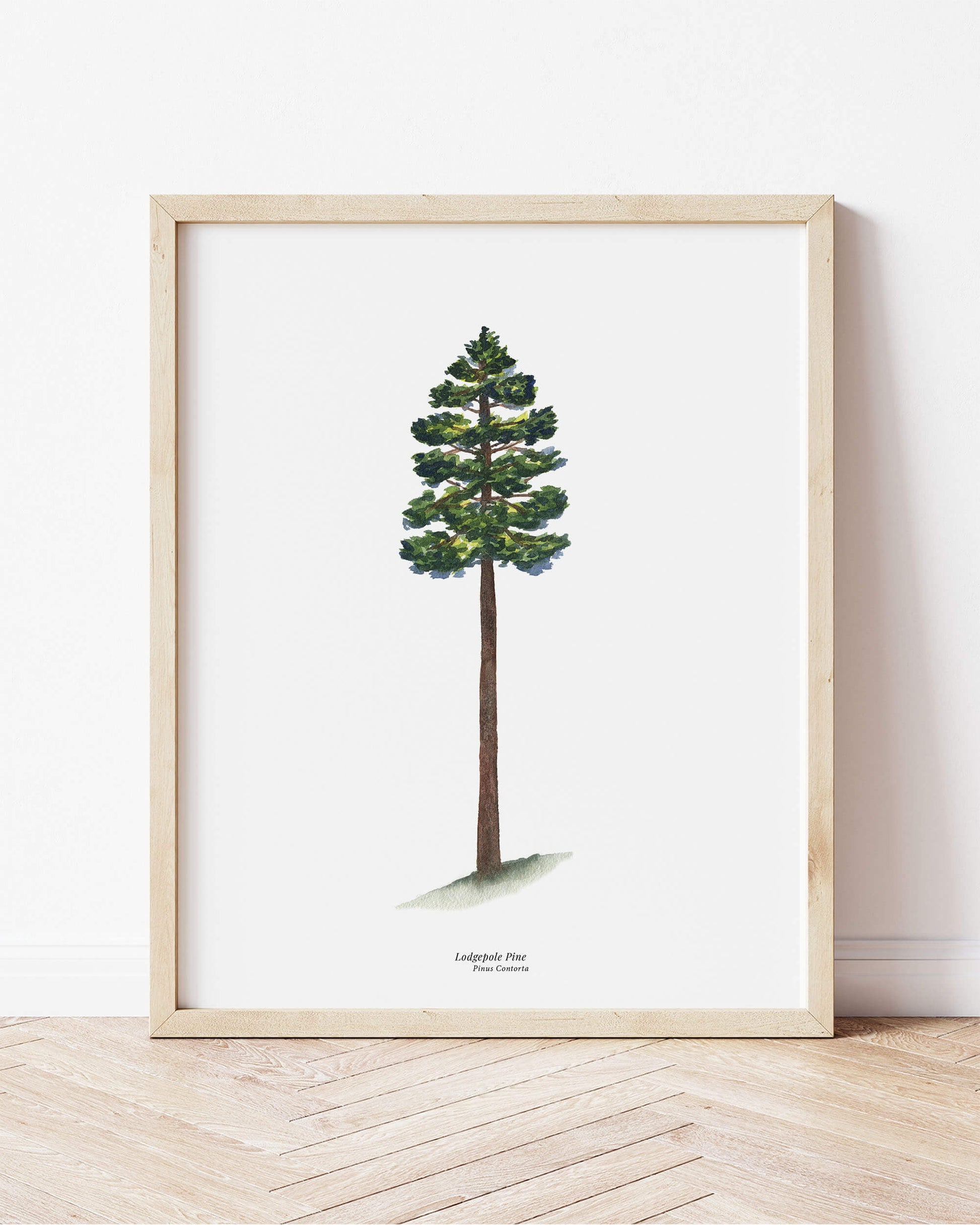 a watercolor painting of a pine tree