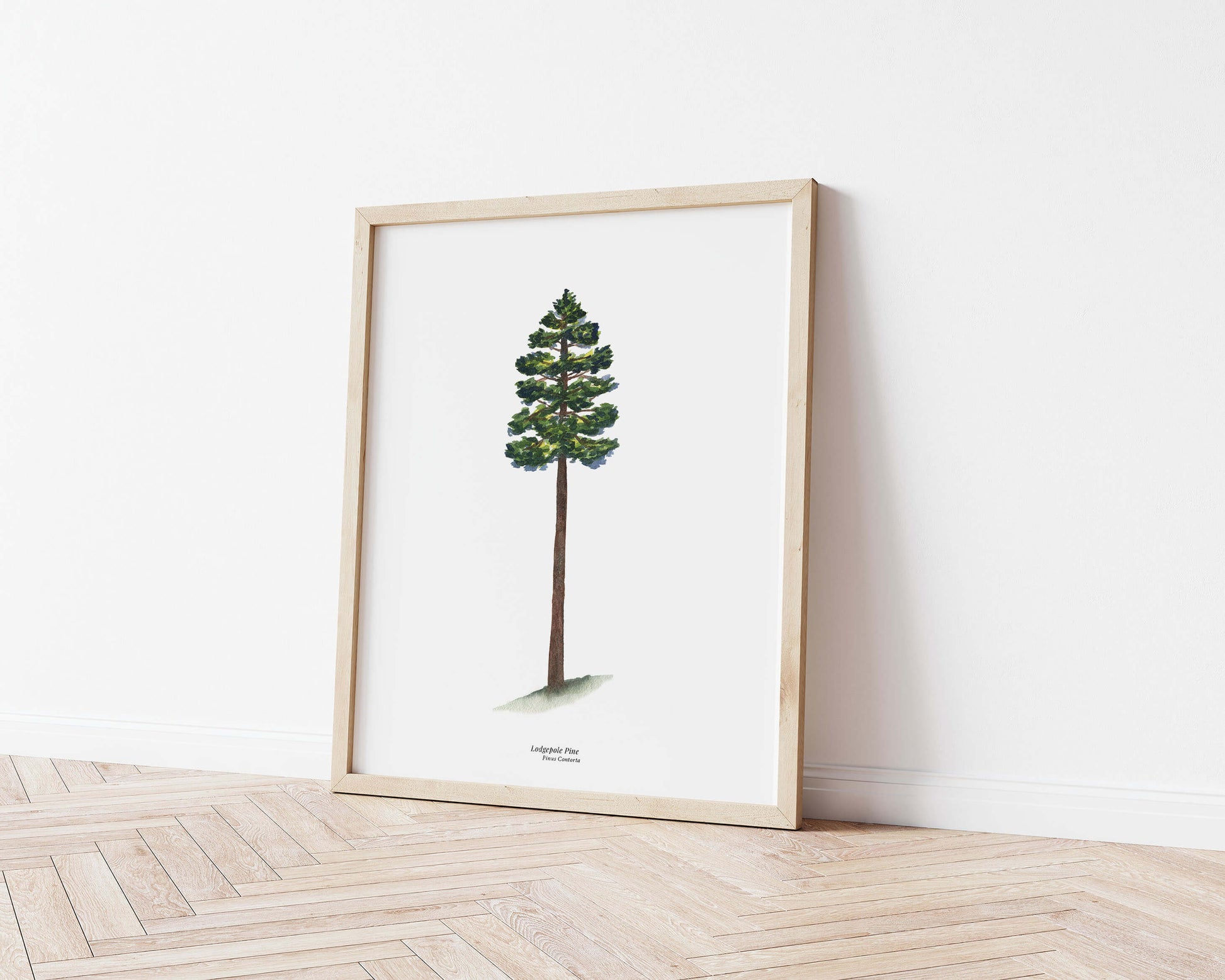 a picture of a pine tree on a wall