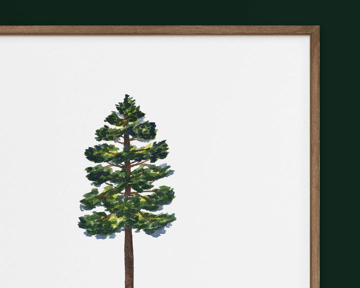 a painting of a pine tree on a white background