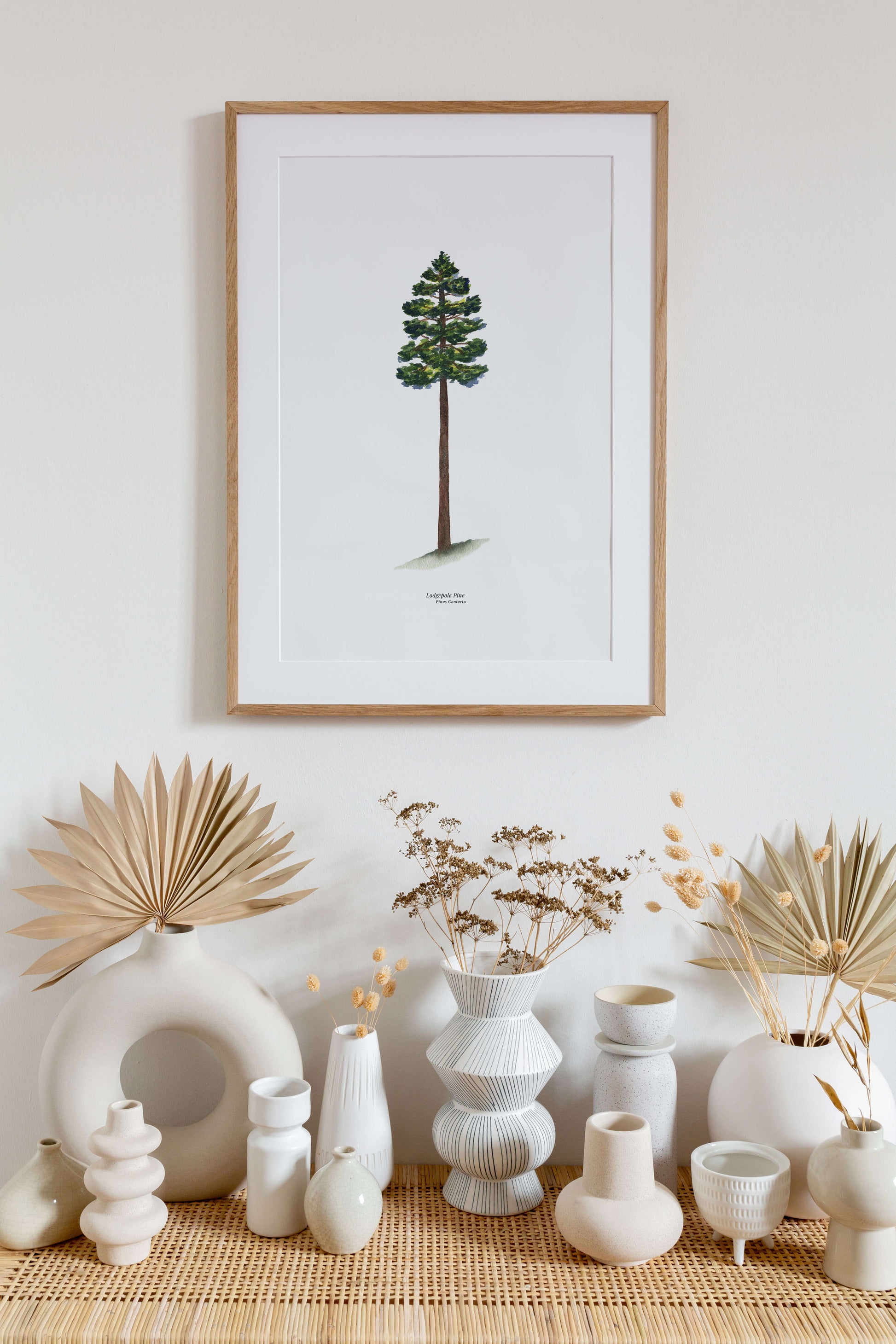 a picture of a pine tree on a white wall