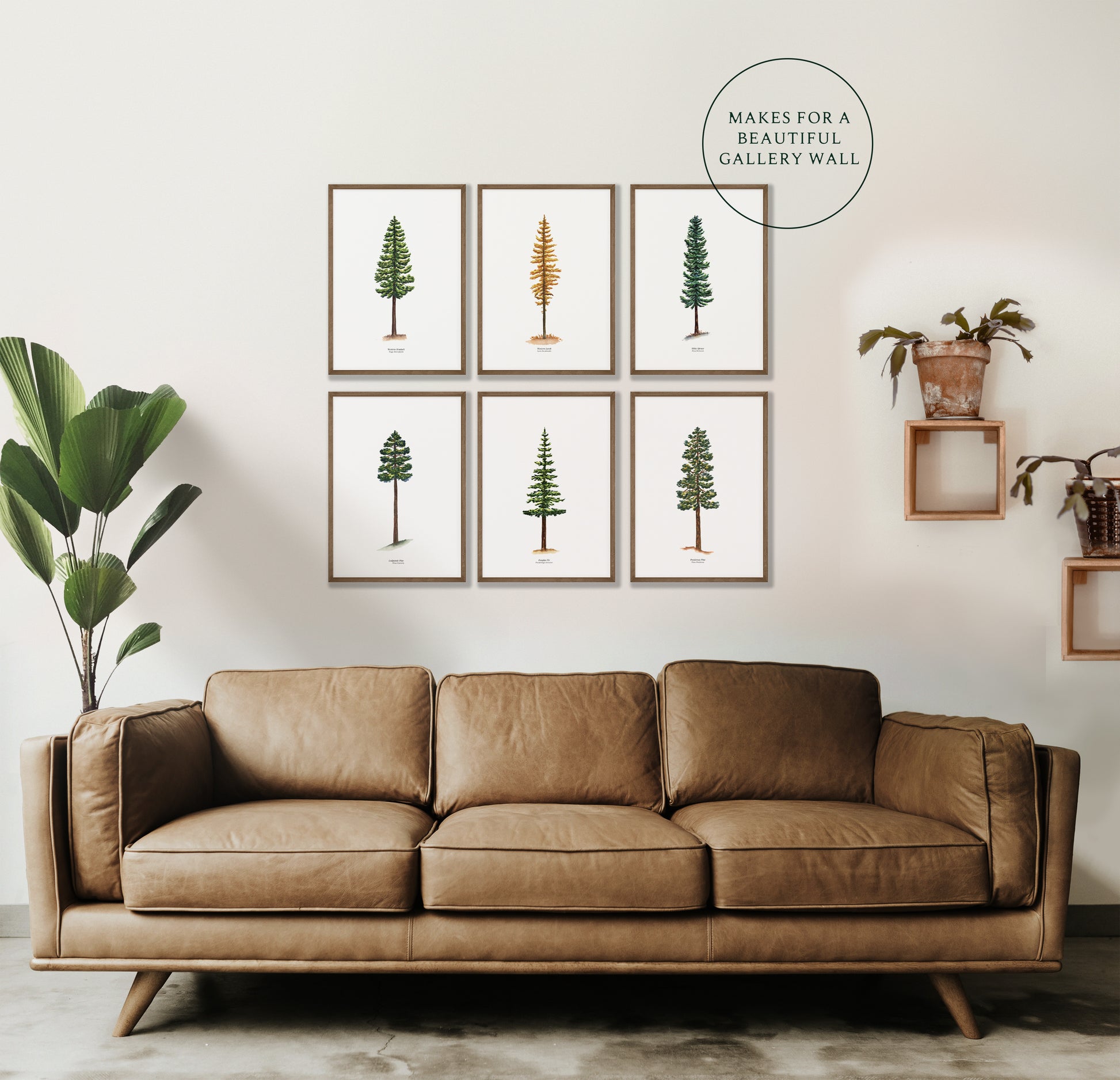 a living room with a couch and a potted plant with a woodsy gallery wall