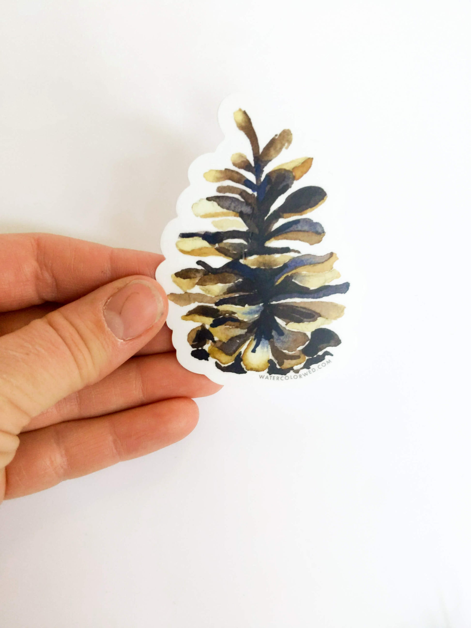a hand holding a piece of paper with a pine cone on it