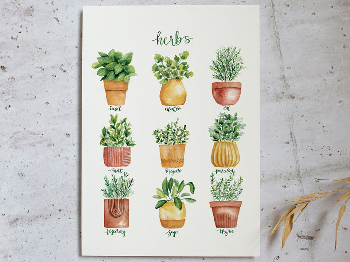 an art print with a bunch of potted herb and spice plants on it