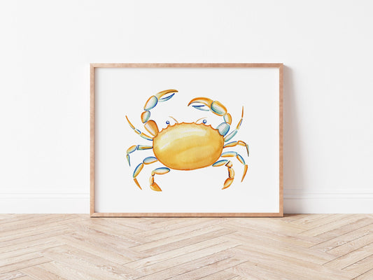Crab  Sea Creature